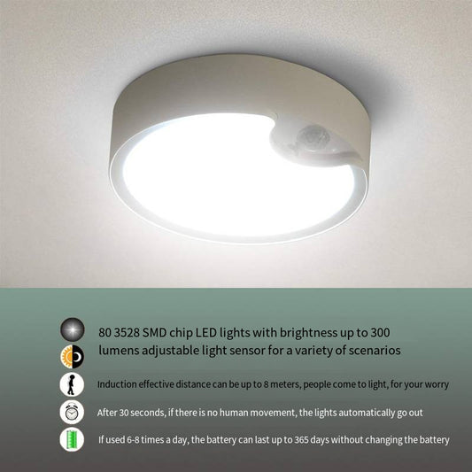 80LED Induction Ceiling Light for Home and Bedroom