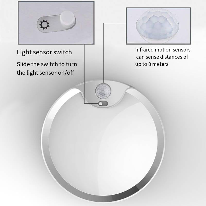 80LED Induction Ceiling Light for Home and Bedroom